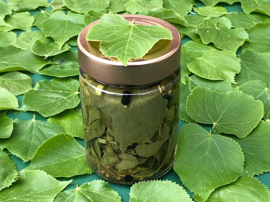 Lindenblätter