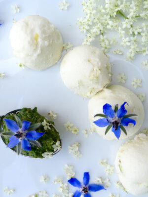 Holunderblüten-Dessert