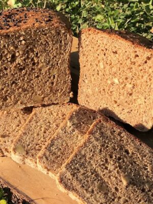 Brotbacken