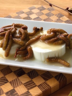 Haselkätzchen
