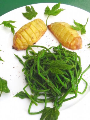Hopfensprossen