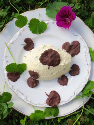 Weißes Gundelrebe-Mousse