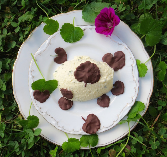 Weißes Gundelrebe-Mousse