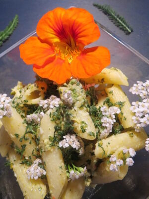 Penne_Schafgarbe