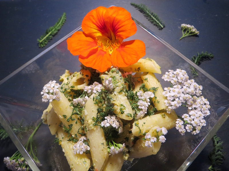 Penne_Schafgarbe