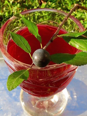 Schlehensaft