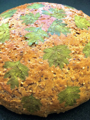 Brotbacken